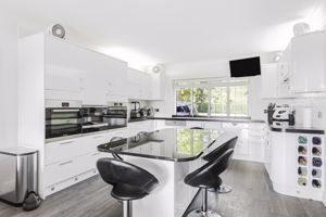 Photo 41- click for photo gallery